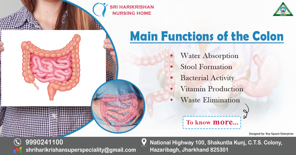 Main Functions of the Colon