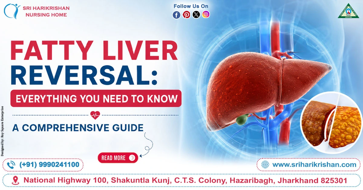 Fatty Liver Reversal: Everything You Need to Know – A Comprehensive Guide
